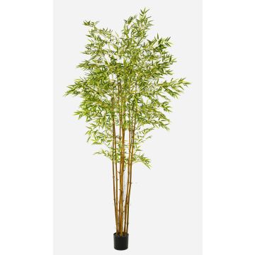 Arbre artificiel « Bambou flèche japonais » BAKNOR, troncs naturels, 240 cm Arbre artificiel « Bambou flèche japonais » BAKNOR, troncs naturels, 240 cm