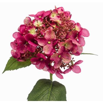 Fleur artificielle Hortensia CALESA, fuchsia, 50cm Fleur artificielle Hortensia CALESA, fuchsia, 50cm