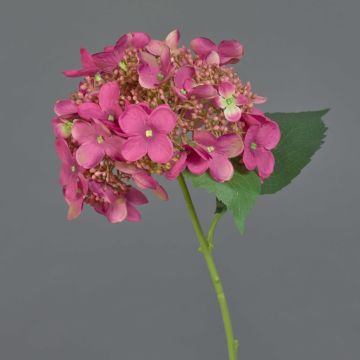 Fleur artificielle Hortensia CALESA, fuchsia, 50cm
