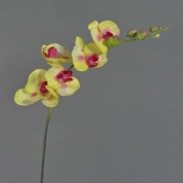 Tige d&rsquo;orchid&eacute;e en tissu DAJANA, jaune-fuchsia, 90cm, &Oslash;6-11cm