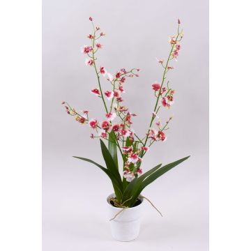 Orchidée Oncidium artificielle YOSEPHIN en pot en argile, blanc-rouge, 70cm