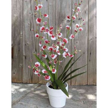 Orchidée Oncidium artificielle YOSEPHIN en pot en argile, blanc-rouge, 70cm Orchidée Oncidium artificielle YOSEPHIN en pot en argile, blanc-rouge, 70cm