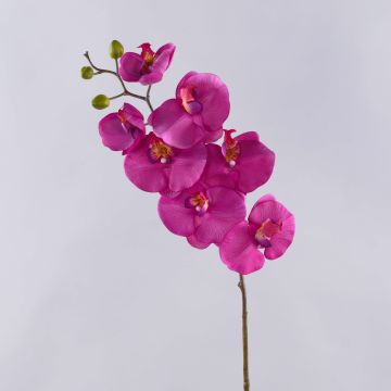 Tige d'orchidée Phalaenopsis en tissu RICKY, rose fuchsia, 105cm Tige d'orchidée Phalaenopsis en tissu RICKY, rose fuchsia, 105cm