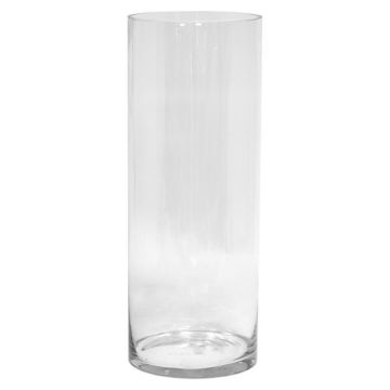 Glas Bodenvase Zylinder SANSA OCEAN, klar, 60cm, Ø20cm Glas Bodenvase Zylinder SANSA OCEAN, klar, 60cm, Ø20cm