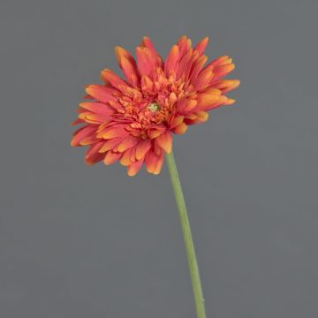Gerbera artificiel AITANA, orange, 55cm