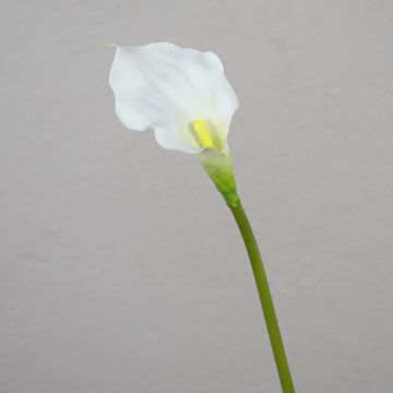 Arum artificiel PEPITA, blanc, 55cm, 7x11cm Arum artificiel PEPITA, blanc, 55cm, 7x11cm