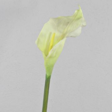 Faux Calla CRISTINA, blanc-vert, 105cm, 14x27cm Faux Calla CRISTINA, blanc-vert, 105cm, 14x27cm