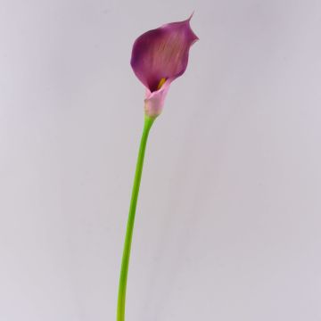 Faux Calla TERESA, violet, 70cm, 10x18cm