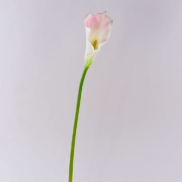 Faux Calla TERESA, blanc-rose, 70cm, 10x18cm