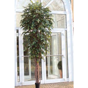 Arbre artificiel Ficus Benjamini YONDALA, troncs naturels, vert, 300cm Arbre artificiel Ficus Benjamini YONDALA, troncs naturels, vert, 300cm