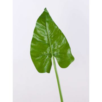 Feuille de calla artificiel FRANSCHESKA, vert, 70cm Feuille de calla artificiel FRANSCHESKA, vert, 70cm