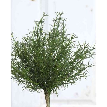 Asparagus sprengeri en plastique FREDERICK, sur piquet, 25cm Asparagus sprengeri en plastique FREDERICK, sur piquet, 25cm