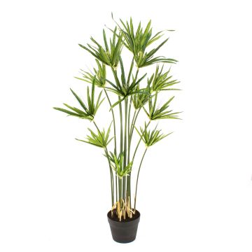 Cyperus papyrus artificiel ZAHIR, vert, 180cm