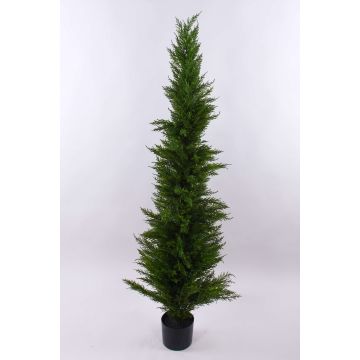 Cyprès artificiel HENRIETTE, en cache-pot, vert, 150cm Cyprès artificiel HENRIETTE, en cache-pot, vert, 150cm