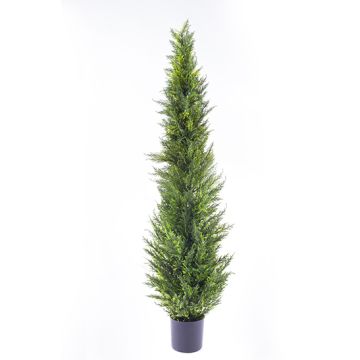 Cyprès artificiel HENRIETTE, en cache-pot, vert, 150cm