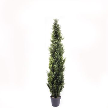 Cyprès artificiel HENRIETTE, en cache-pot, vert, 180cm