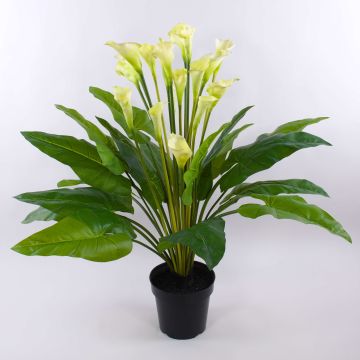 Zantedeschia artificiel LAURENCE, blanc, 130cm, 8x13cm Zantedeschia artificiel LAURENCE, blanc, 130cm, 8x13cm