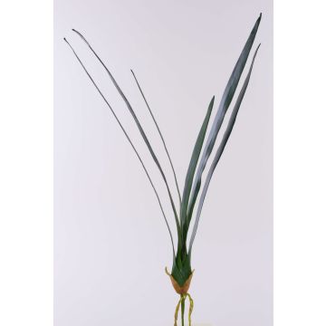 Feuilles d'orchidée Cymbidium artificielles AURICA, racines aériennes, 70cm Feuilles d'orchidée Cymbidium artificielles AURICA, racines aériennes, 70cm