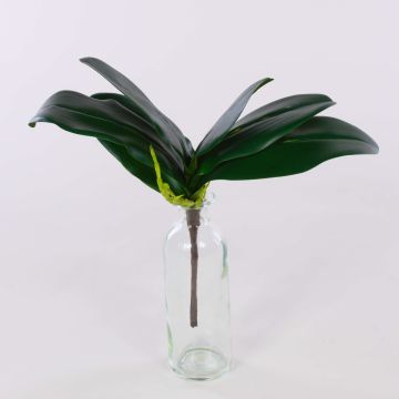 Feuilles d'orchidée Phalaenopsis artificielles DAPHI, racines aériennes, 29x33cm Feuilles d'orchidée Phalaenopsis artificielles DAPHI, racines aériennes, 29x33cm