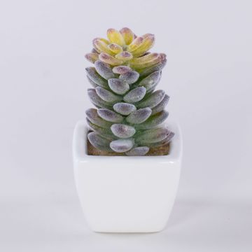 Pachyphytum oviferum artificiel ROBBIE, pot en céramique, vert, 13cm
