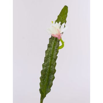 Cactus artificiel reine de la nuit DOMENICA, fleur, blanc, 50cm
