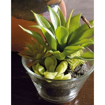 Arrangement de fausses plantes succulentes TIMOTHY dans un verre, vert, 18cm