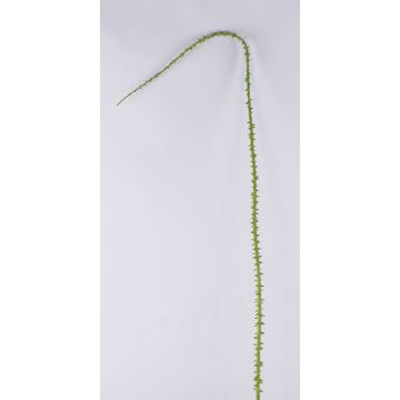 Branche d'épines décorative ALOISA, vert-marron, 170cm