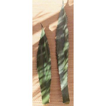 Feuille d'aeonium artificiel CALVINE, 110cm