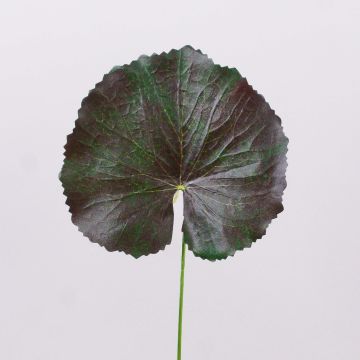 Feuille de géranium artificielle HEIDEGARD, vert-rouge, 38cm, Ø13cm