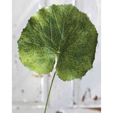 Feuille de géranium artificielle HEIDEGARD, vert, 38cm, Ø13cm Feuille de géranium artificielle HEIDEGARD, vert, 38cm, Ø13cm