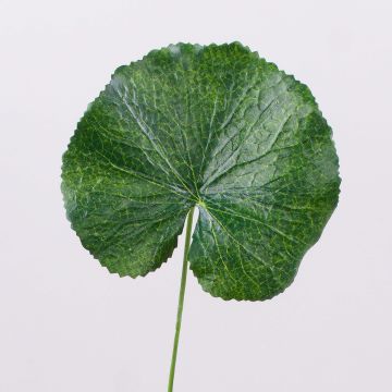 Feuille de géranium artificielle HEIDEGARD, vert, 38cm, Ø11cm