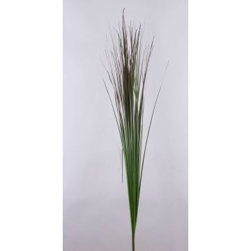 Branche de roseau de Chine artificielle AYUMI, vert-brun, 155cm