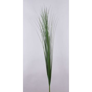 Branche de roseau de Chine artificielle AYUMI, vert, 155cm