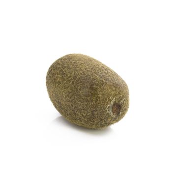 Kiwi artificiel MIRAITA, vert, 6cm, Ø4,5cm Kiwi artificiel MIRAITA, vert, 6cm, Ø4,5cm