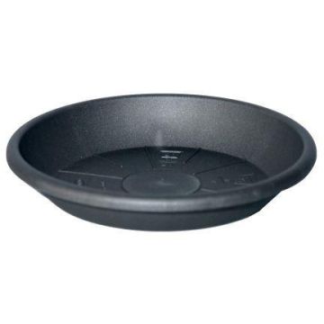 Soucoupe ronde pour cache-pot DONIKA en plastique, avec des trous, anthracite, 6cm, Ø44cm Soucoupe ronde pour cache-pot DONIKA en plastique, avec des trous, anthracite, 6cm, Ø44cm