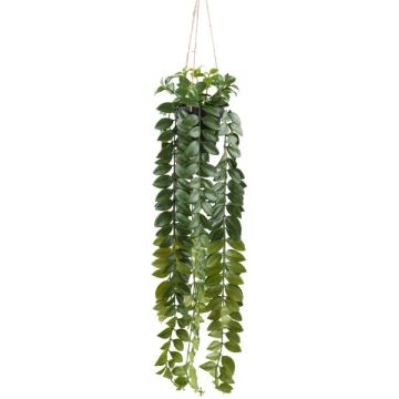 Suspension décorative Columnea en pot décoratif SEHNDAS, verte, 85cm