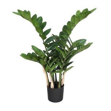 Plante artificielle Zamioculcas AHLEON, 70 cm Plante artificielle Zamioculcas AHLEON, 70 cm