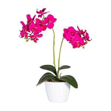 Fleur décorative Orchidée Phalaenopsis FRUXO, piquet, racines, rose fuchsia, 50cm