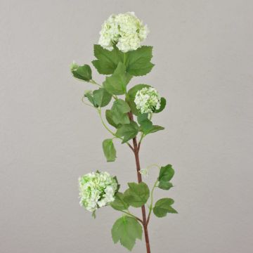 Fleur boule de neige artificielle DJAMILA, blanc-vert, 75cm