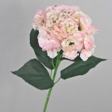 Hortensia en tissu ANGELINA, rose-vert, 70cm, Ø 23cm