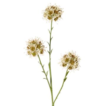 Branche d'allium artificielle ZEBU, crème, 65 cm, Ø 7 cm Branche d'allium artificielle ZEBU, crème, 65 cm, Ø 7 cm