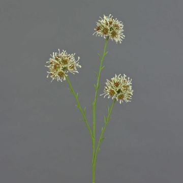 Branche d'allium artificielle ZEBU, crème, 65 cm, Ø 7 cm Branche d'allium artificielle ZEBU, crème, 65 cm, Ø 7 cm