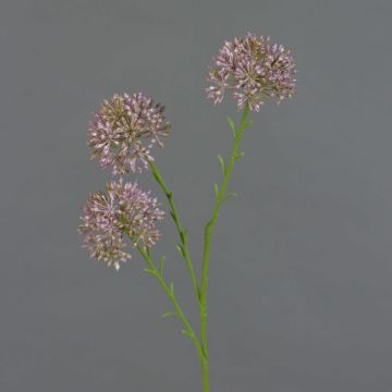 Branche décorative d'allium ALIKIO, violette, 65 cm, Ø 7 cm Branche décorative d'allium ALIKIO, violette, 65 cm, Ø 7 cm