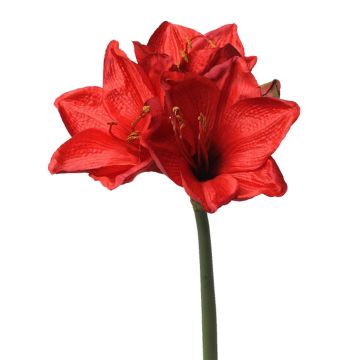 Amaryllis en tissu BENITA, rouge, 55cm, Ø10cm