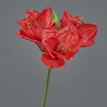 Amaryllis en tissu BENITA, rouge, 55cm, Ø10cm