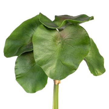 Feuille décorative de nénuphar LIRVA, 5 pièces, verte, 27 cm Feuille décorative de nénuphar LIRVA, 5 pièces, verte, 27 cm