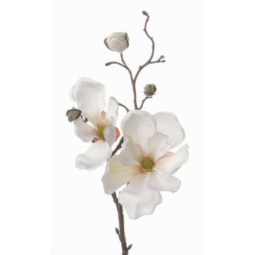 Magnolia en soie MALBINE, crème, 50cm, Ø6-10cm Magnolia en soie MALBINE, crème, 50cm, Ø6-10cm
