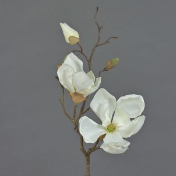 Magnolia en soie MALBINE, crème, 50cm, Ø6-10cm