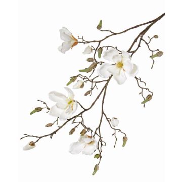 Magnolia en soie LORA, crème, 110cm, Ø10-12cm Magnolia en soie LORA, crème, 110cm, Ø10-12cm