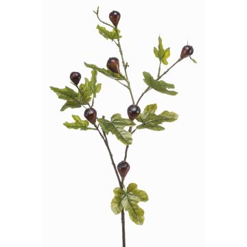 Branche décorative de figuier PROWER avec fruits, verte, 90 cm Branche décorative de figuier PROWER avec fruits, verte, 90 cm